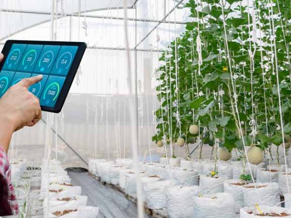 Smart lighting solution for agriculture