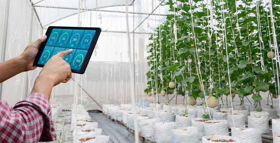 Smart lighting solution for agriculture