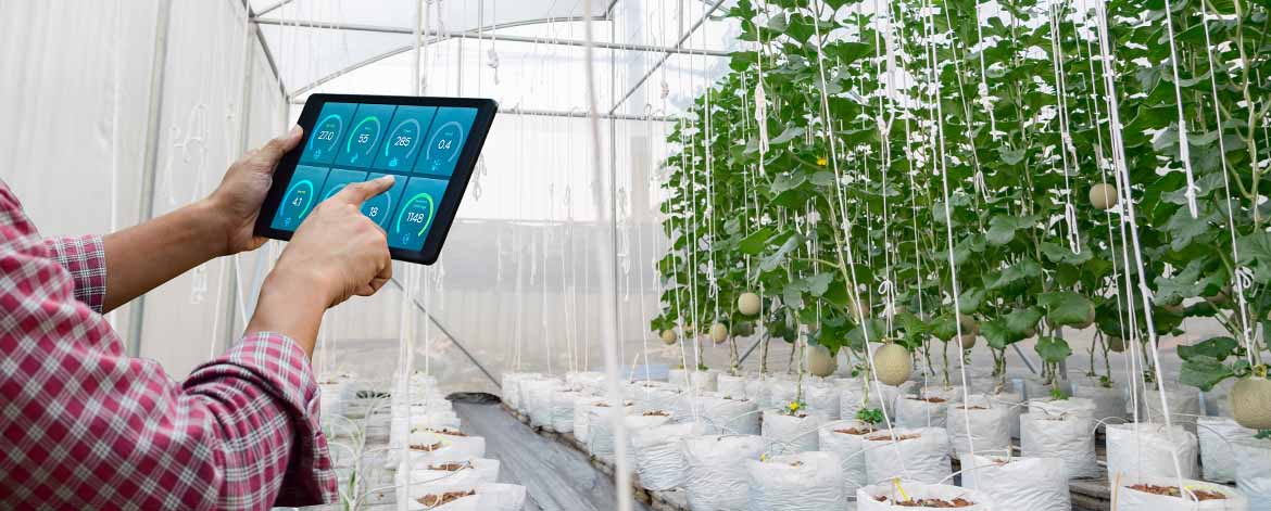 Smart lighting solution for agriculture